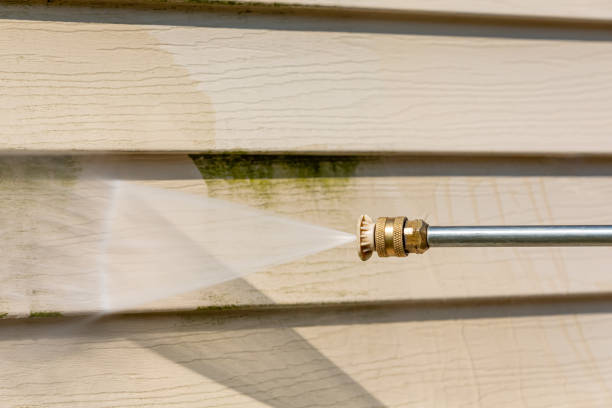 Best Power Washing Near Me  in Guttenberg, IA