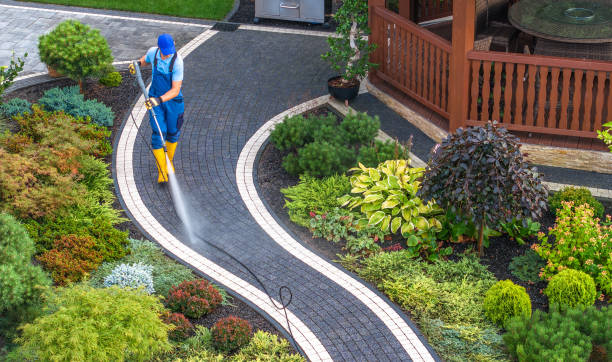 Best Roof Power Washing Services  in Guttenberg, IA